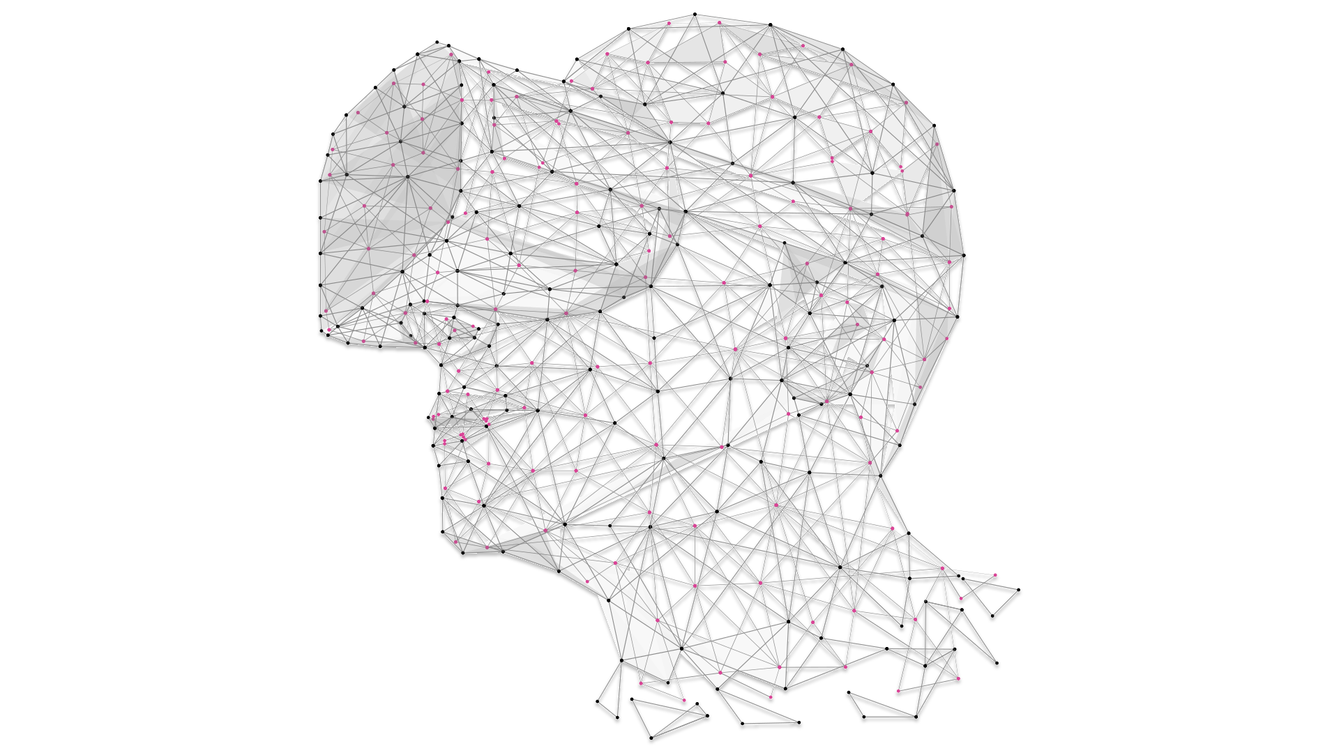 head